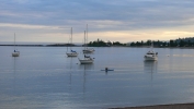 PICTURES/Grand Marais/t_Harbor9.JPG